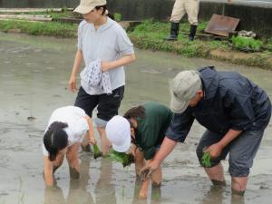 田植え５