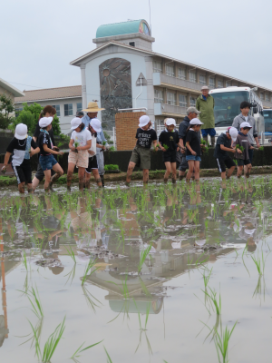 田植え７