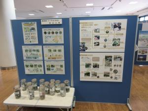企画展