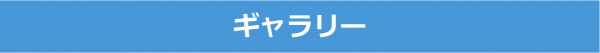 ギャラリー