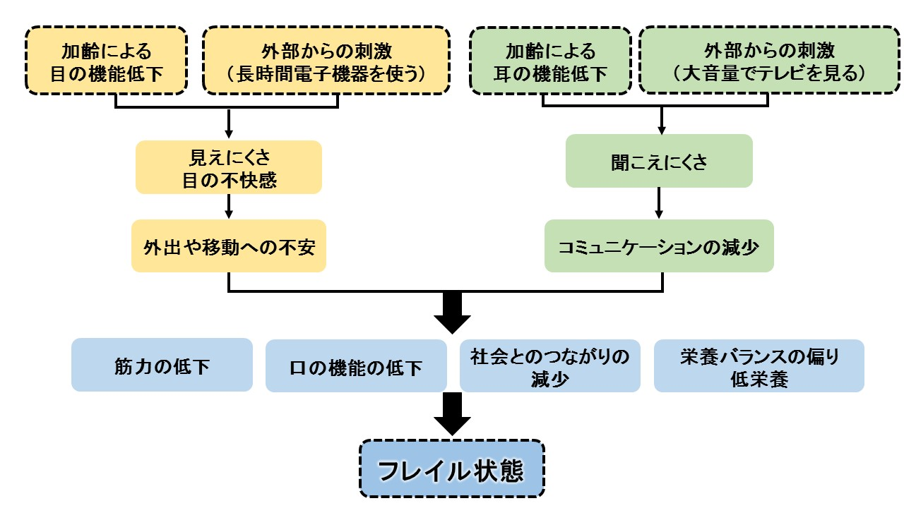 フレイルについて