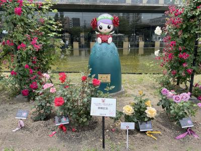 中央公園の写真