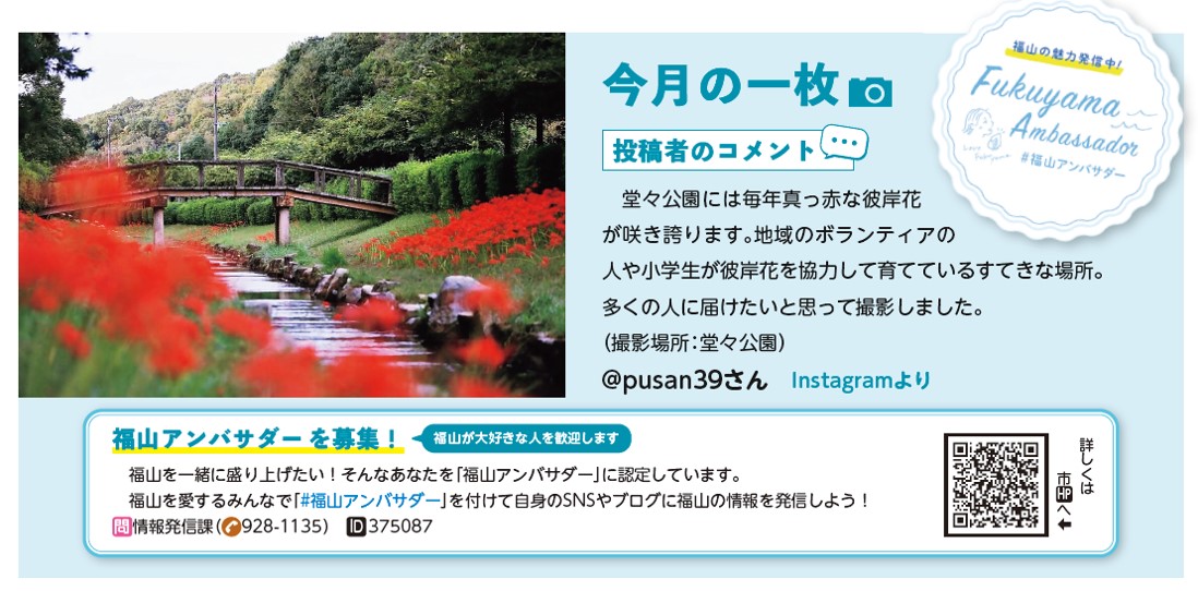 堂々公園の彼岸花