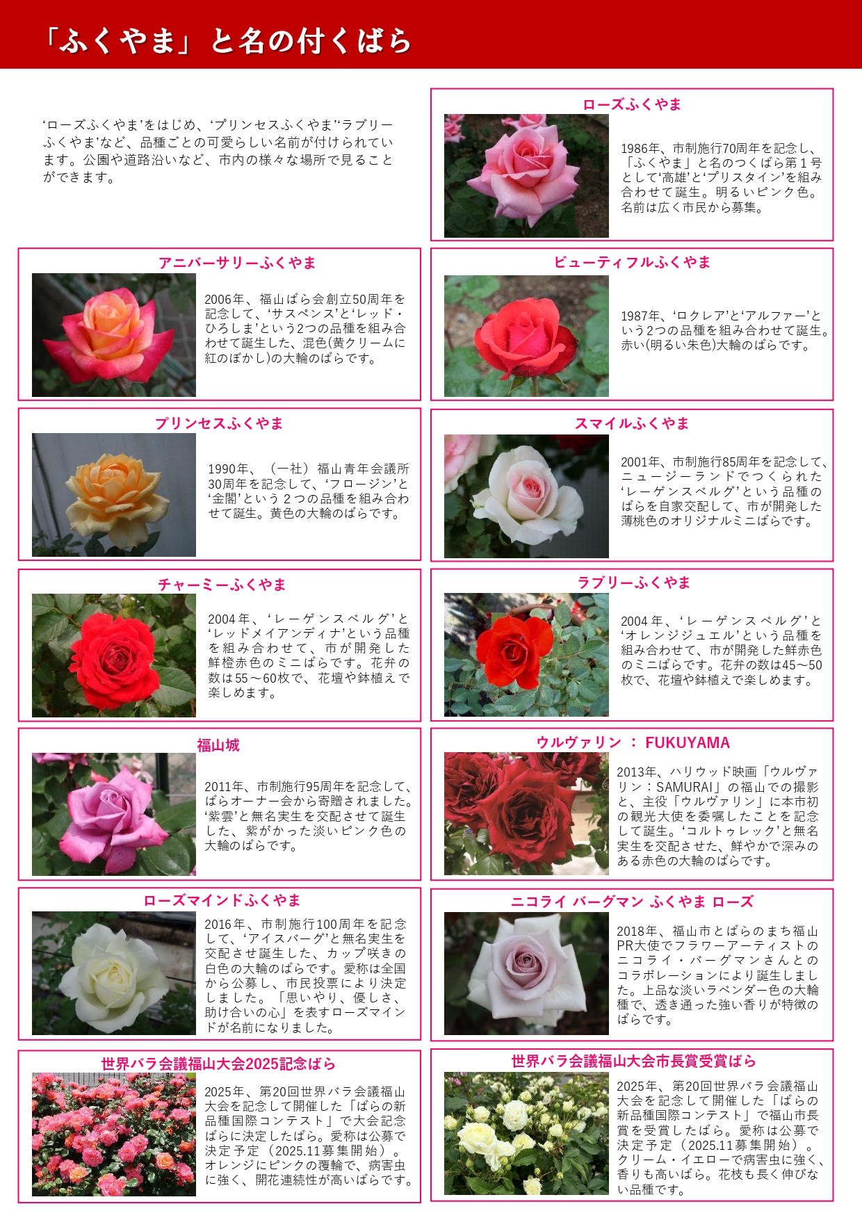 福山と名のつくばらの紹介