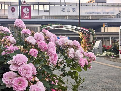 JR福山駅前のばら