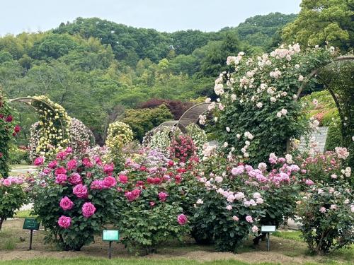 福山市園芸センターの写真