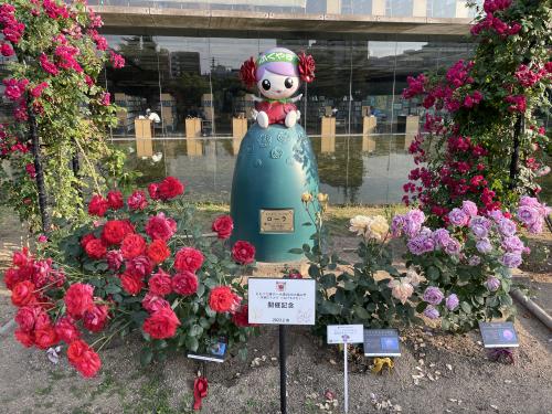 中央公園「ももクロのばら」の写真