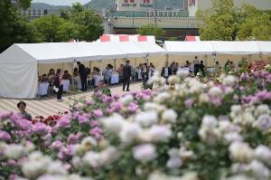 歓迎昼食会の写真