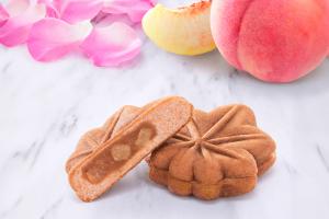 プレゼントのイメージ画像です