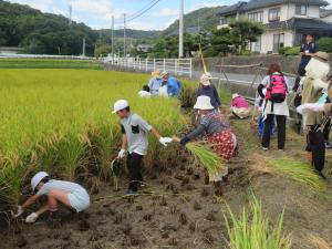 作業の様子１１