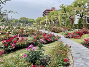 ばら公園