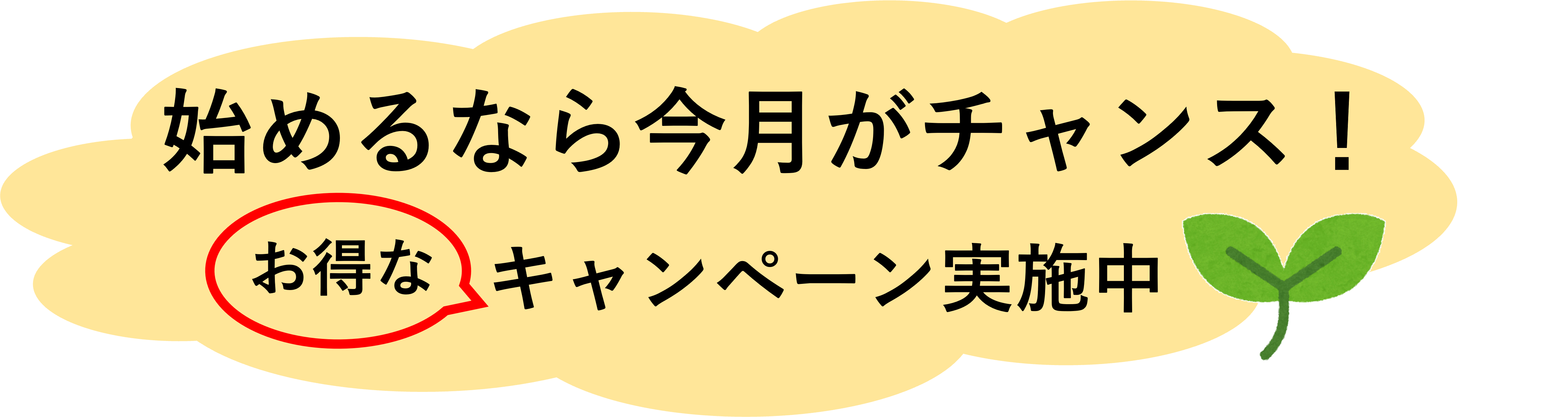 始めるなら今月がチャンス！