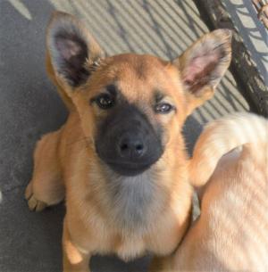 ９－１６　ゴロ