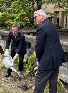 駐日イタリア大使公邸への植樹