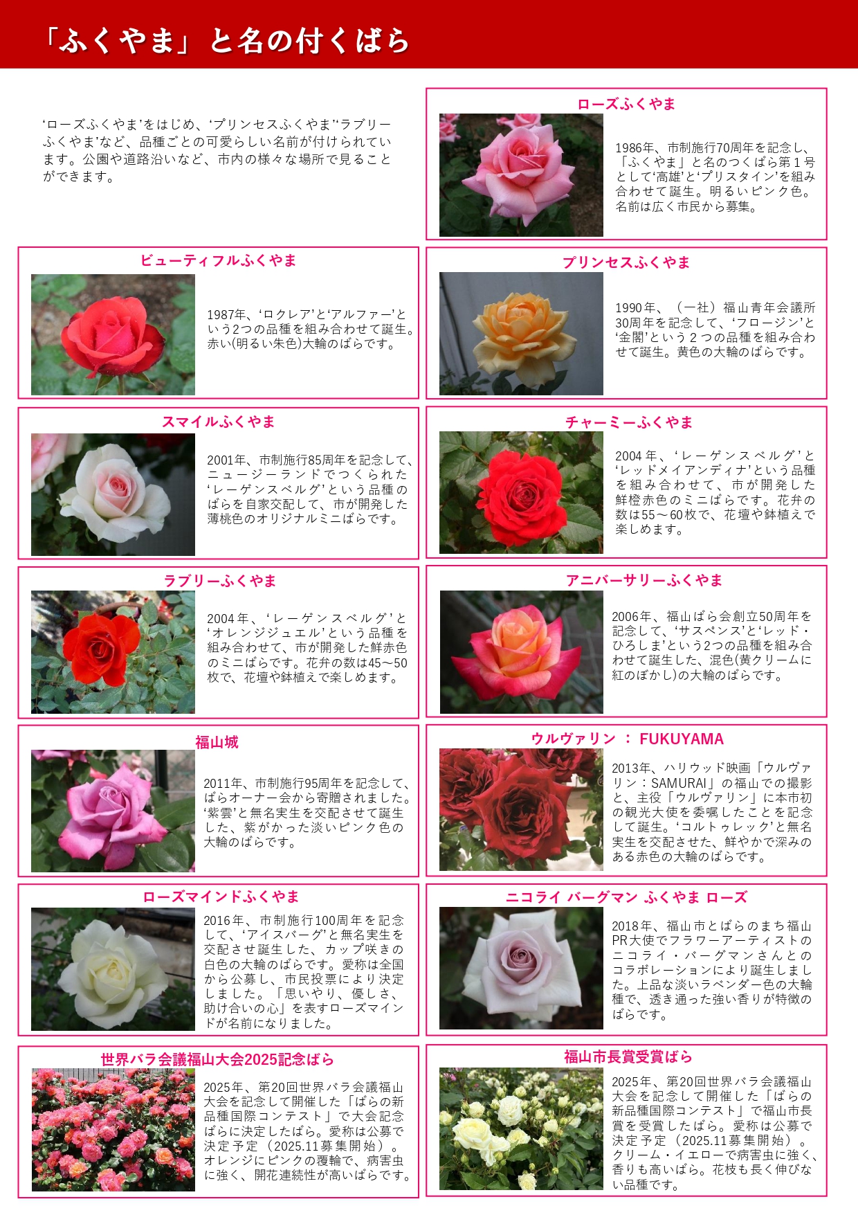 福山と名の付くばらの紹介画像