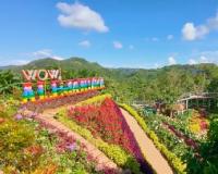 ブワカン・ニ・アレハンドラの写真