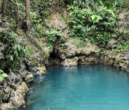 カシリ・スプリングの写真