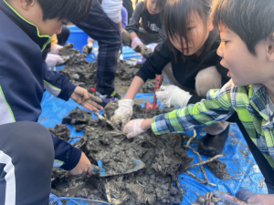 収穫の様子３．５