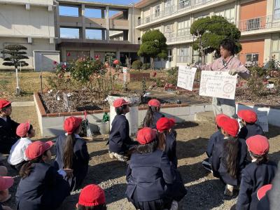 接ぎ木の説明を聞く写真