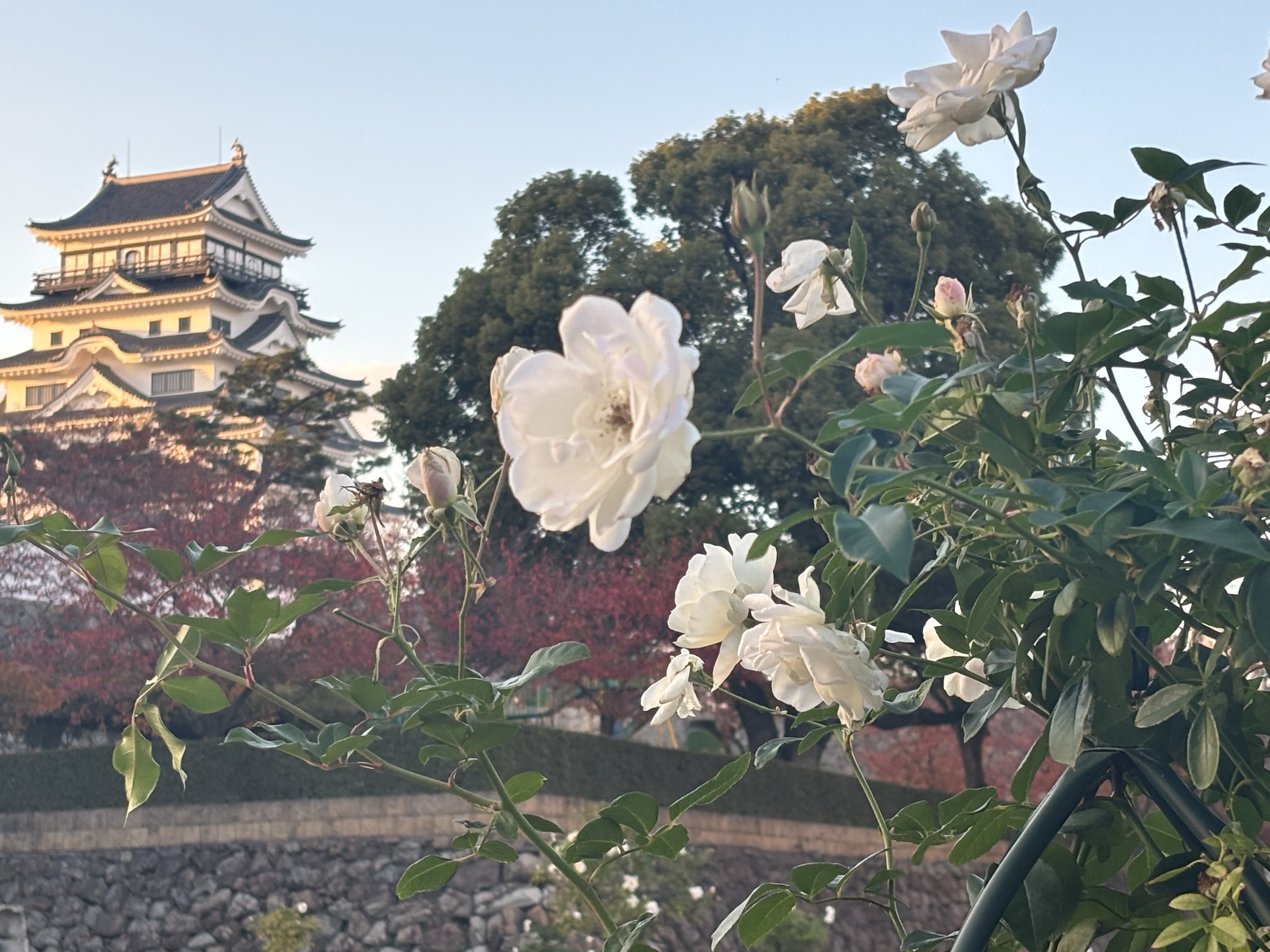 福山駅北口スクエア