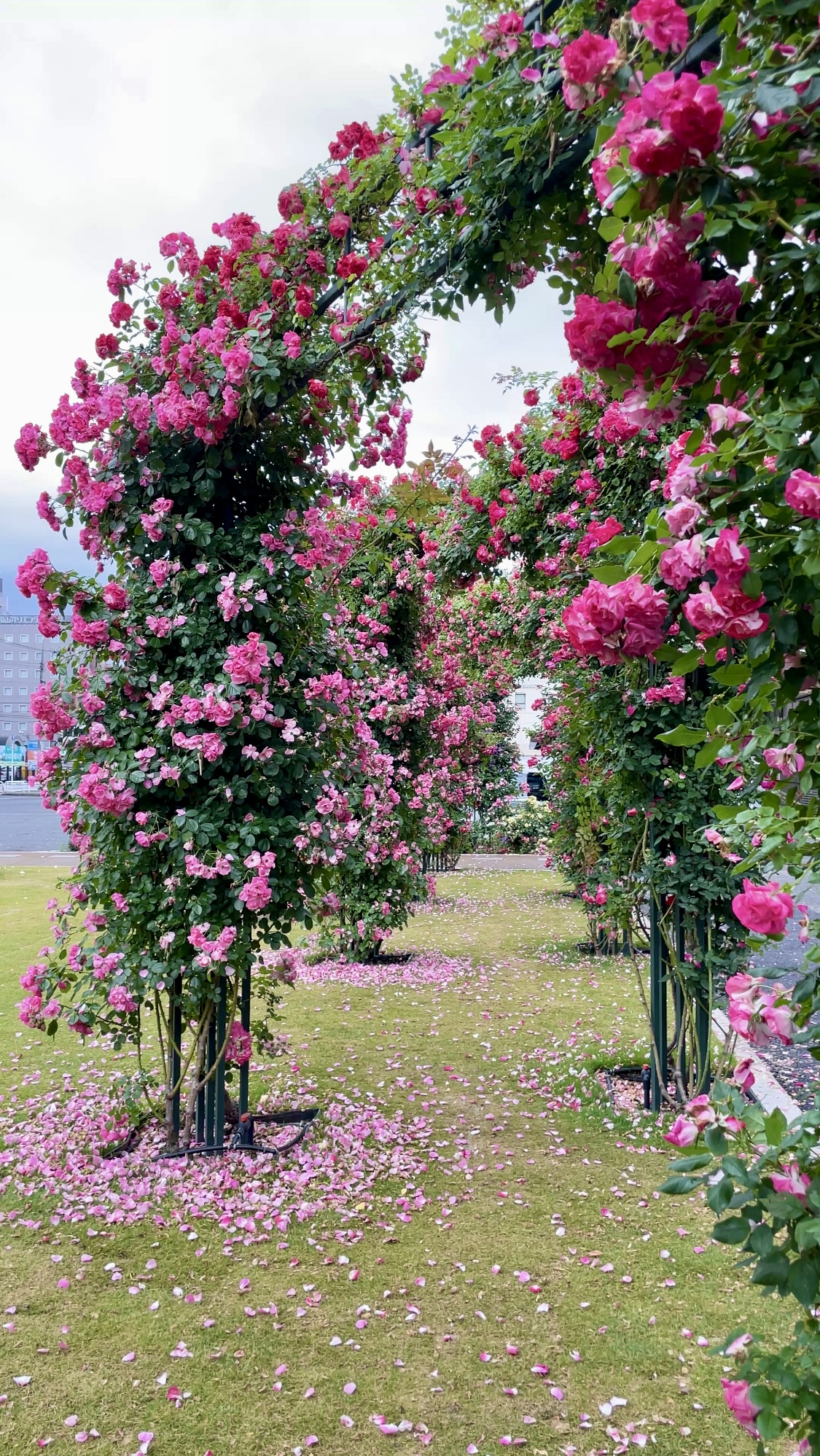 福山駅北口スクエア(アーチ)