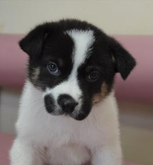 １２－１７　あまね