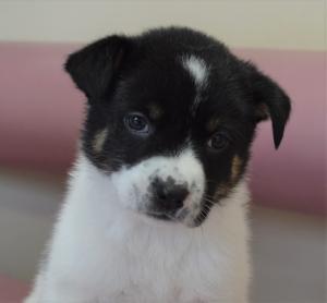 １２－２０　ゆい