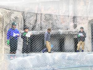 ペンギンの動物紹介をしている様子