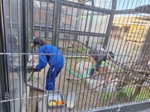 清掃を行う様子