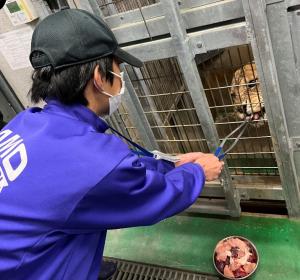 エサやりをする様子