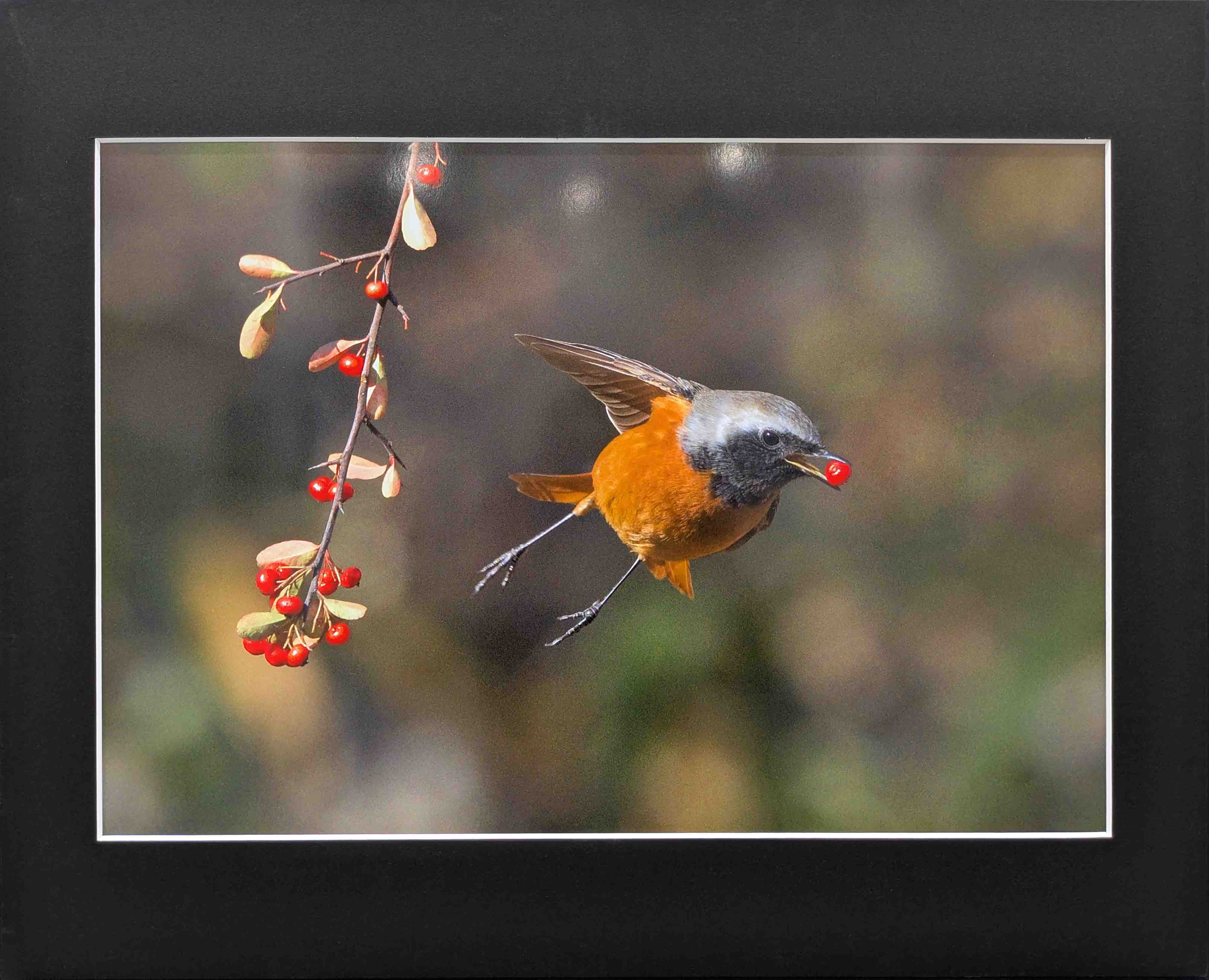 写真　優秀　1004　小山憲二