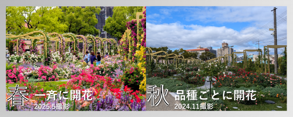 春・秋比較画像