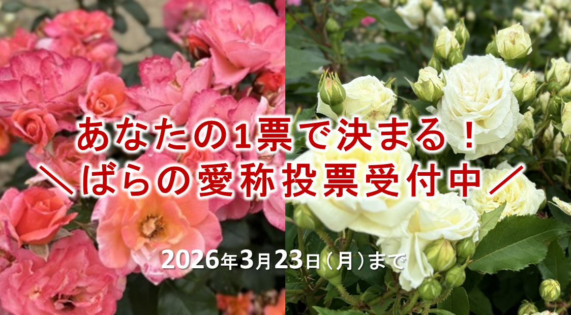 愛称募集のバナー