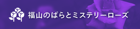 福山のばらとミステリーローズ