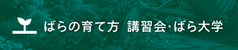 ばらの育て方講習会・ばら大学