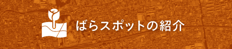 ばらスポットの紹介