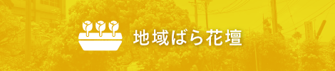 地域ばら花壇