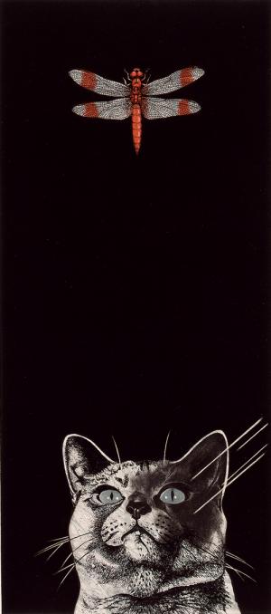 吉原英雄《ガラスの向こう側(版画集『ペットショップ』》1979年