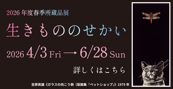 春季所蔵品展「生きもののせかい」