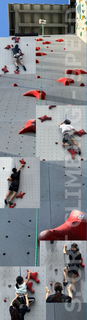 スピードクライミング体験会