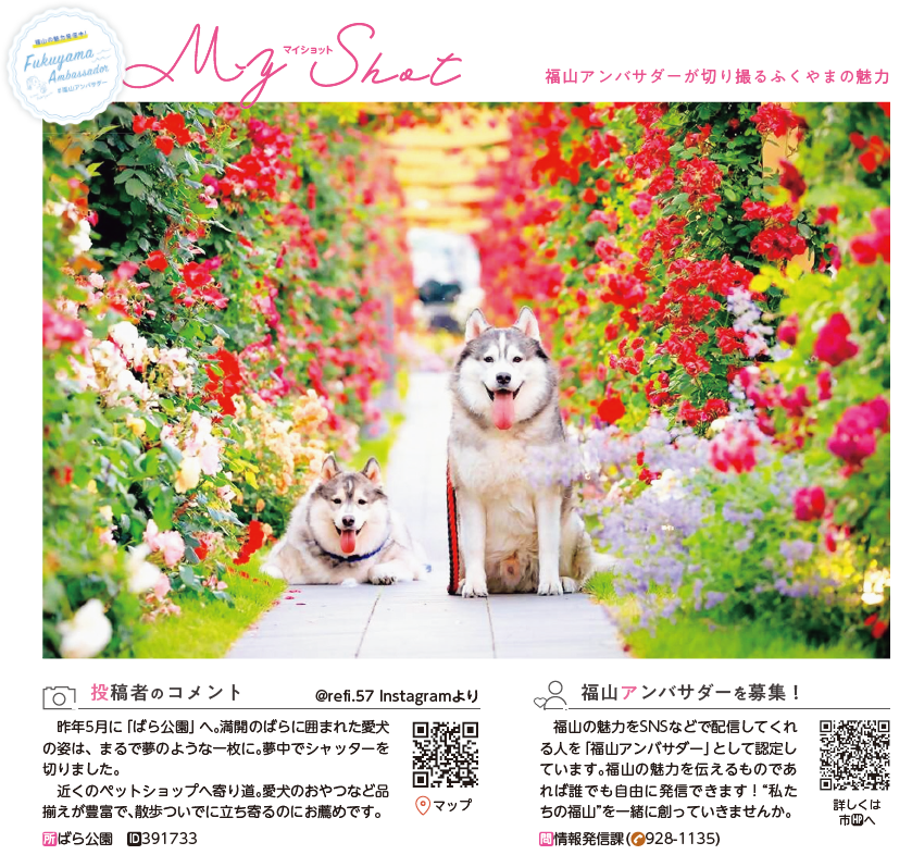 4月号