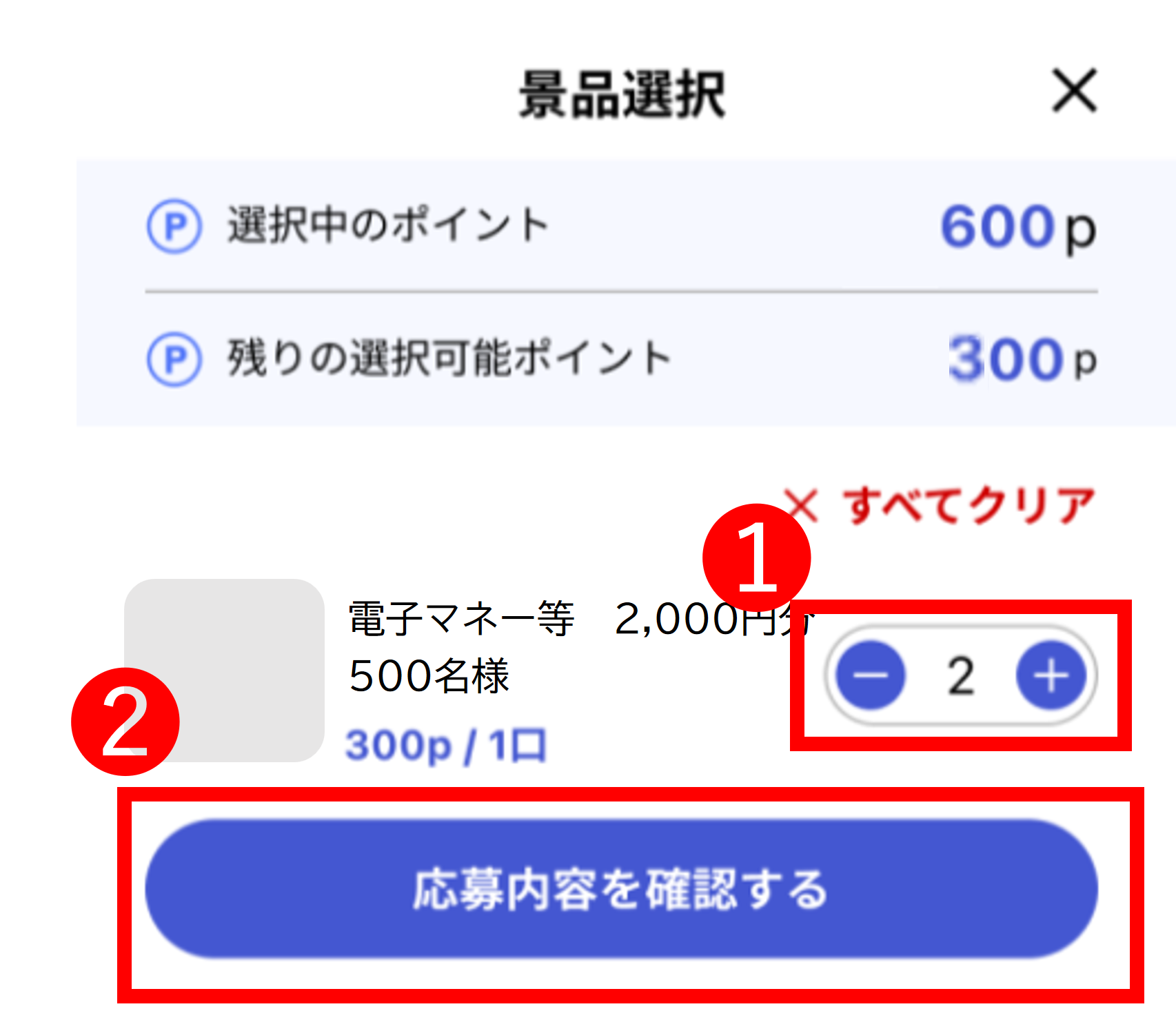 応募内容を選び確認