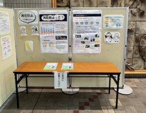 展示①