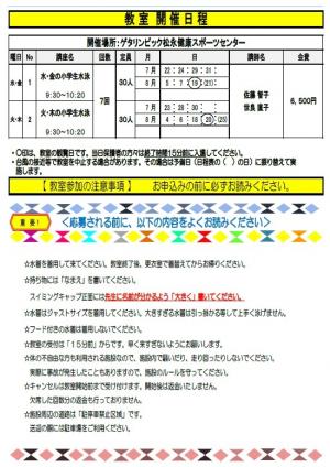 夏休み水泳教室チラシ裏