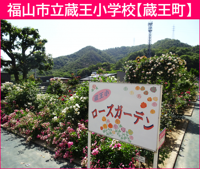 蔵王小学校