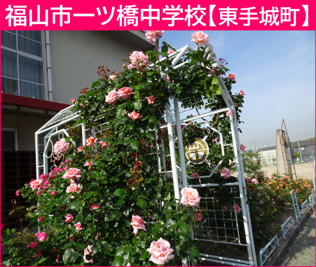 一ツ橋中学校