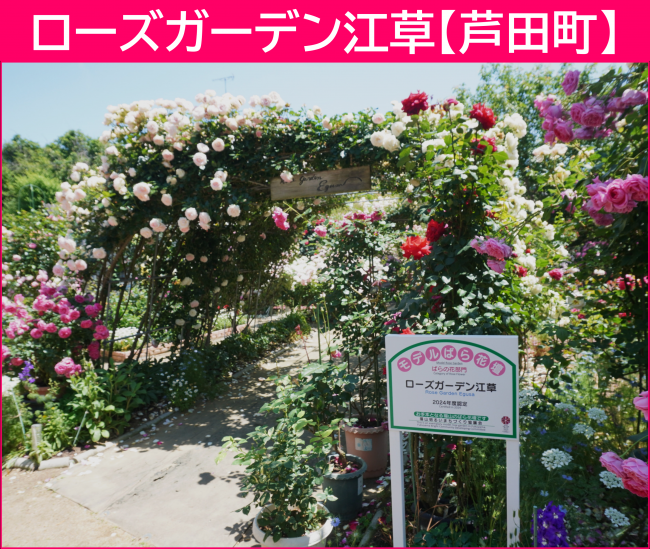 ローズガーデン江草