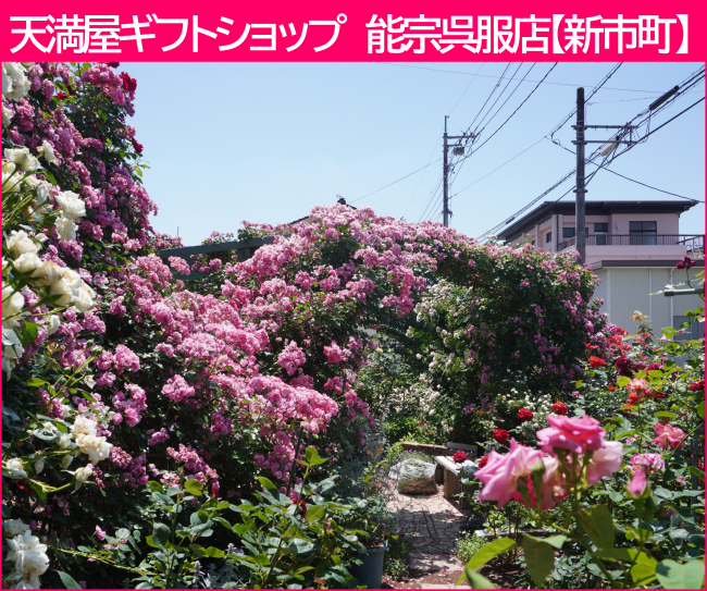 能宗
