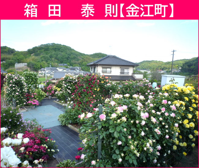 箱田