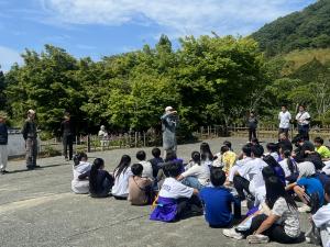 茶摘みについての説明